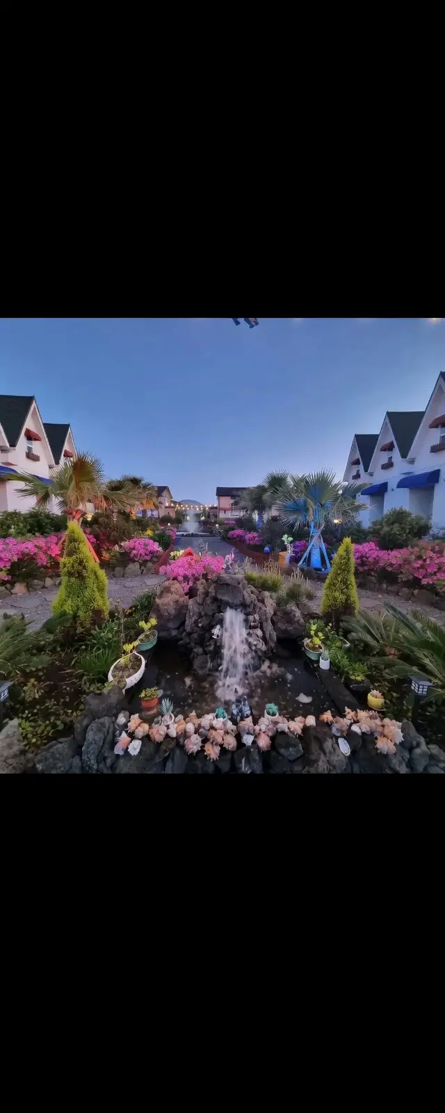 비자림숲 세화바다5분거리(차량) 월세 300 / 50 | 당근 부동산_img_2.png