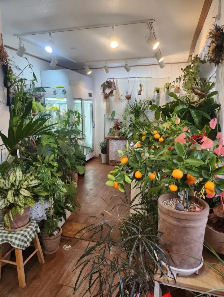 문화의거리 월세 1,000 / 35 | 당근 부동산_img_1.png