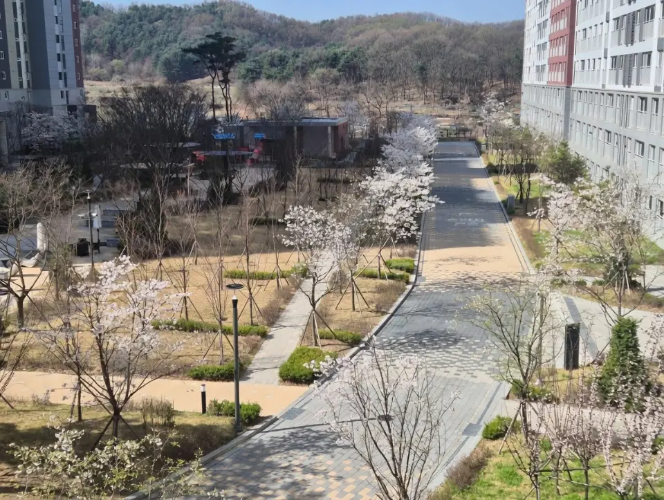 원주 칸타빌 더 포레스트 매매 2억 8,500 | 당근 부동산_img_2.png