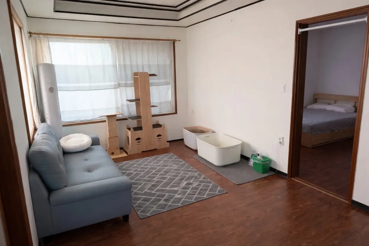 월세 800 / 45 | 당근 부동산_img_1.png