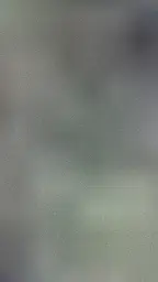 포승공단과 해군2함대.장안.우정.기아자동차_img_2.png