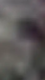 하양역 11분 거리 월세 500 / 29 | 당근 부동산_img_2.png