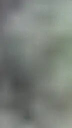 제주특별자치도 제주시 연동 33㎡ 상가 연세 1,000 / 2,000만원 | 당근부동산_img_2.png